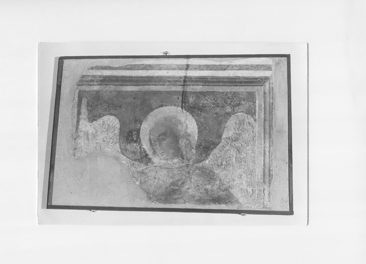 San Michele Arcangelo (dipinto, opera isolata) - ambito Italia centrale (sec. XVI)