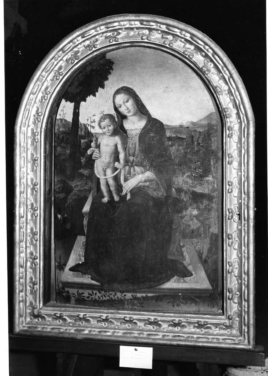 Madonna in trono con Bambino (dipinto, opera isolata) di M. Antonio di Bencivenga da Mercatello (sec. XVI)