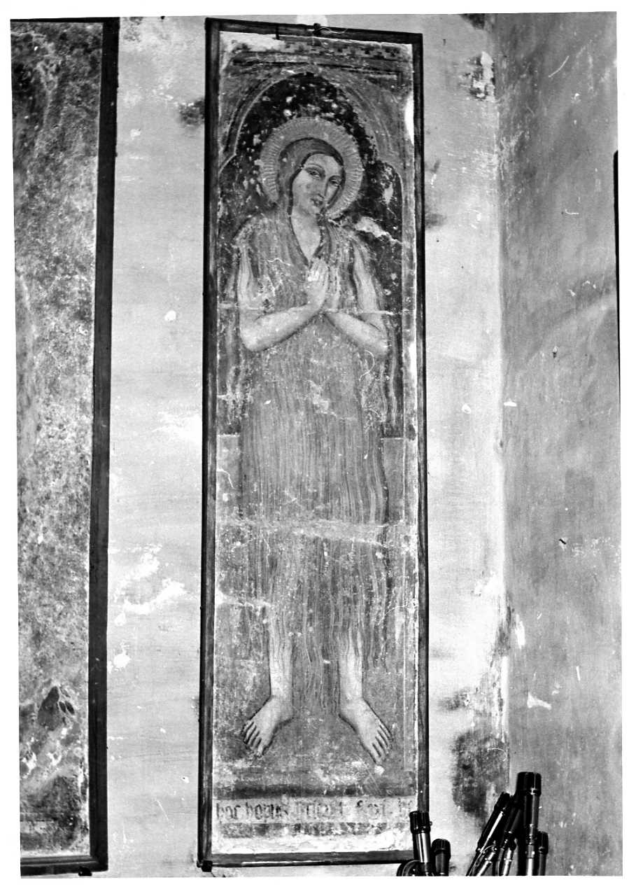 Santa Maria Egiziaca (dipinto, opera isolata) di Muzio della Fratta (bottega) (sec. XIV)