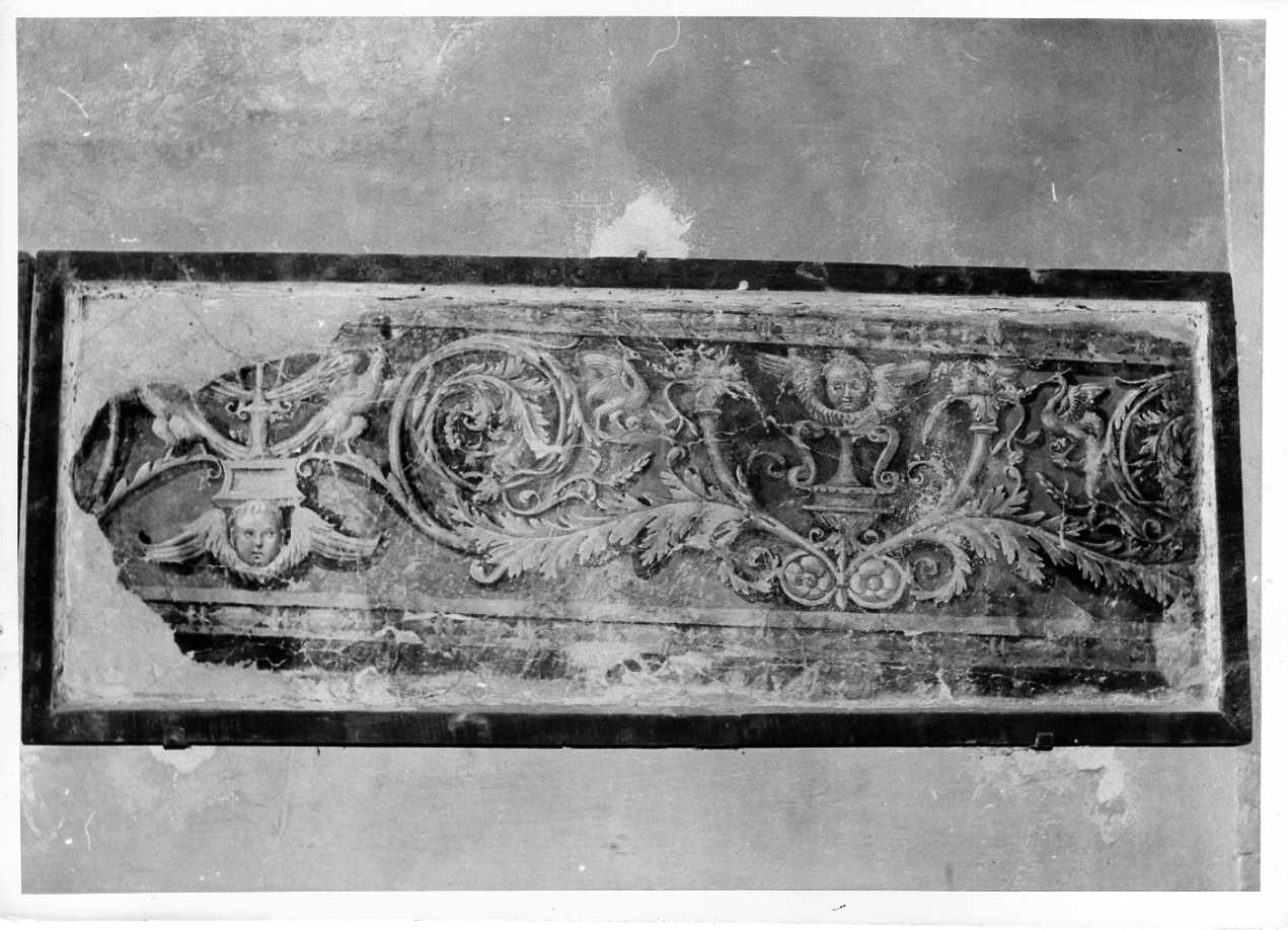 motivi decorativi a grottesche (dipinto, frammento) - ambito umbro (sec. XVI)