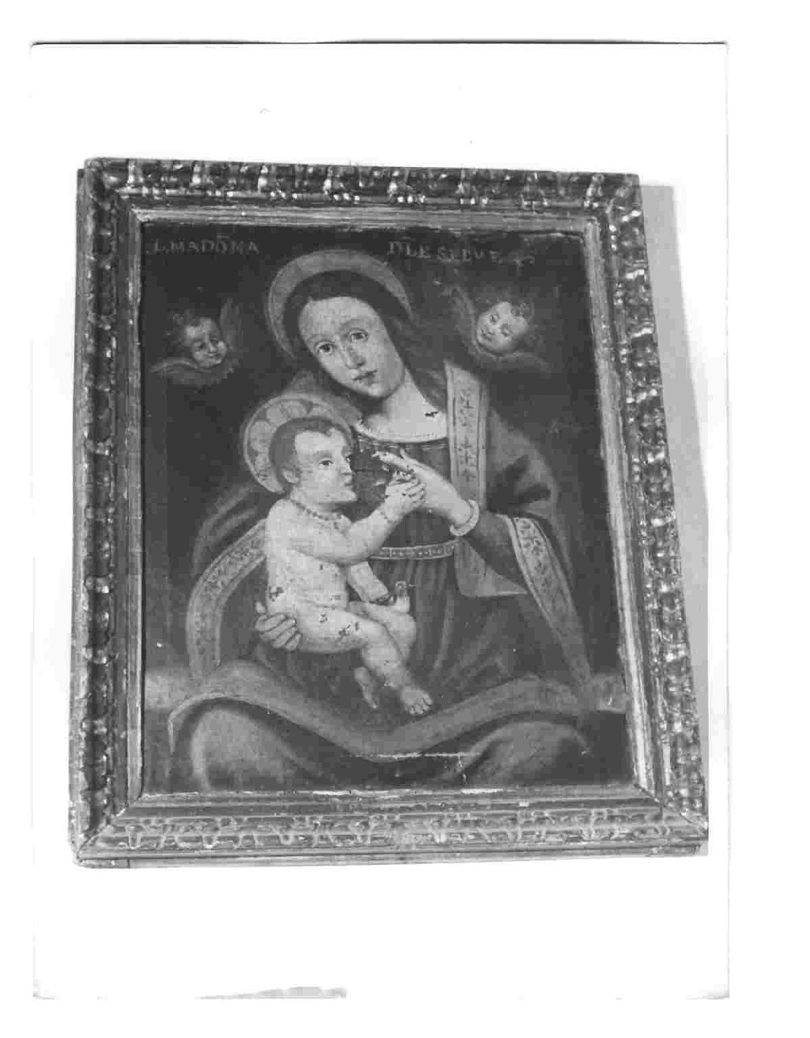Madonna delle Selve, Madonna con Bambino (dipinto, opera isolata) - ambito Italia centrale (sec. XVII)