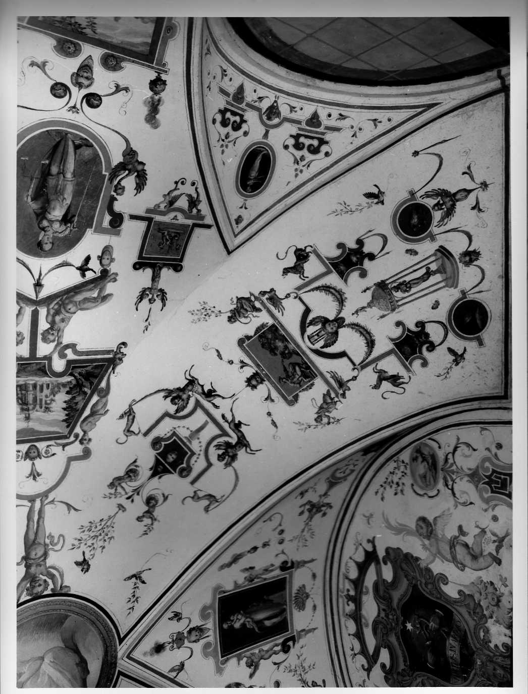 grottesche/ figure allegoriche/ putti che cavalcano volatili (decorazione pittorica, ciclo) di Savini Salvio (attribuito) (ultimo quarto sec. XVI)