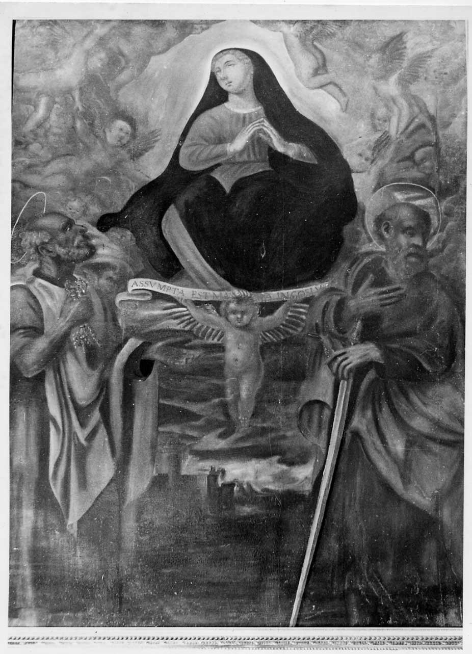 Madonna Assunta (dipinto, opera isolata) - ambito Italia centrale (sec. XVIII)