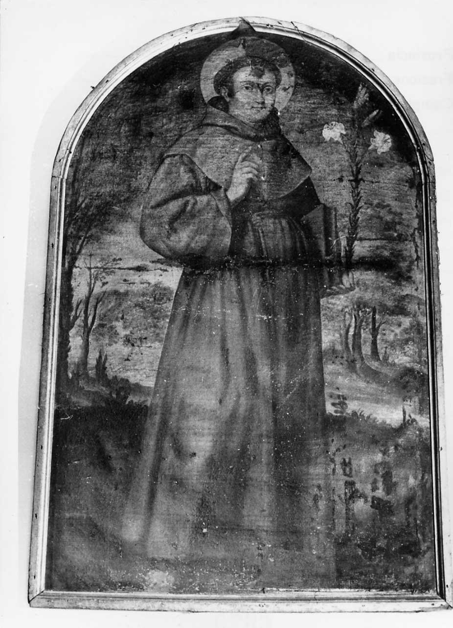Sant'Antonio da Padova (dipinto, opera isolata) - ambito Italia centrale (sec. XVII)