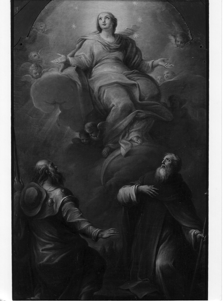 Madonna Immacolata e Santi (dipinto, opera isolata) di Appiani Francesco (terzo quarto sec. XVIII)