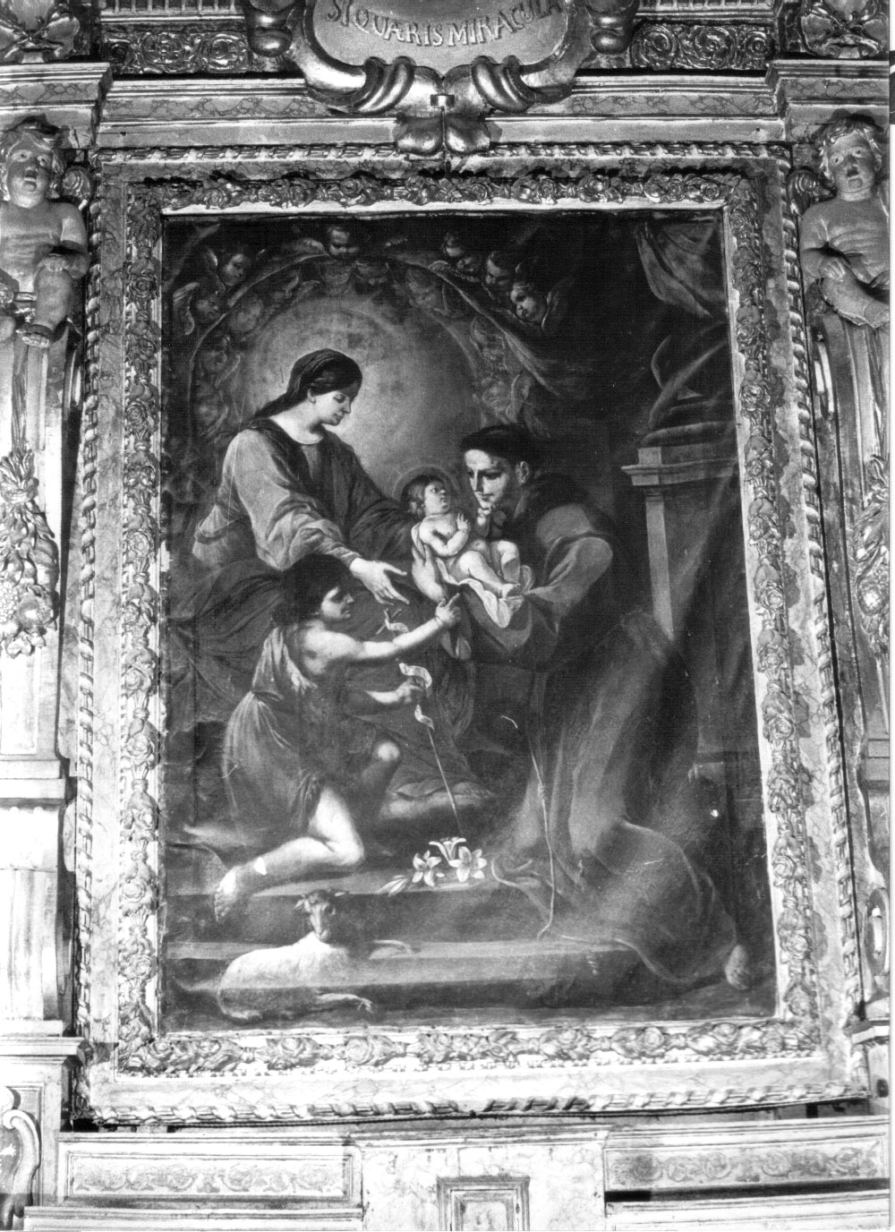 apparizione della Madonna con Bambino e San Giovannino a Sant'Antonio da Padova (pala d'altare, elemento d'insieme) - ambito Italia centrale (prima metà sec. XVIII)