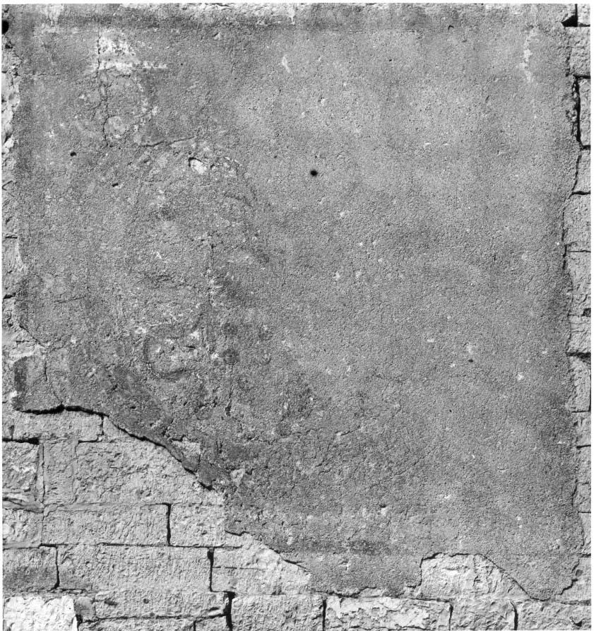 stemma (decorazione pittorica, frammento) - ambito umbro (sec. XVI)