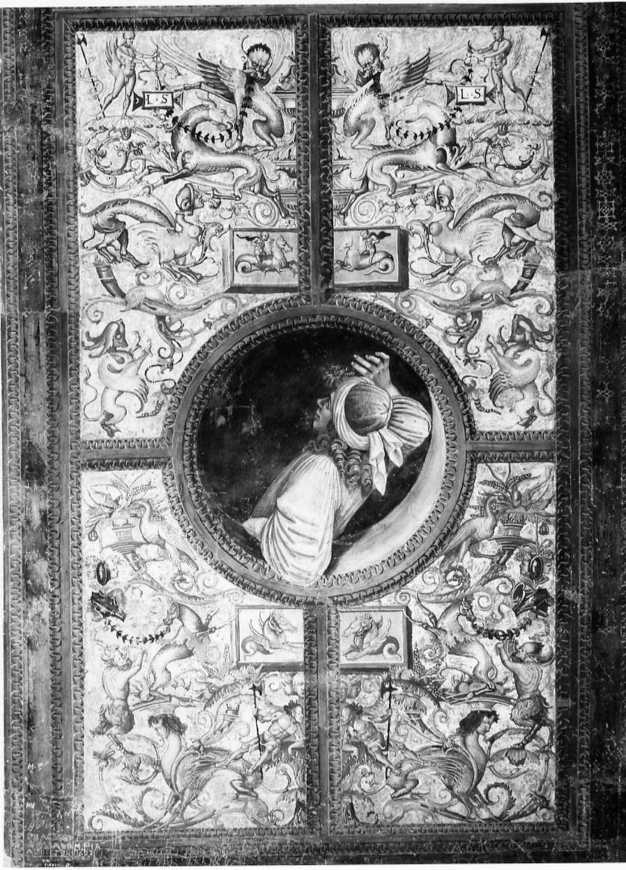 Il poeta Omero e motivi ornamentali a grottesche (dipinto, complesso decorativo) di Signorelli Luca (e aiuti) (sec. XVI)