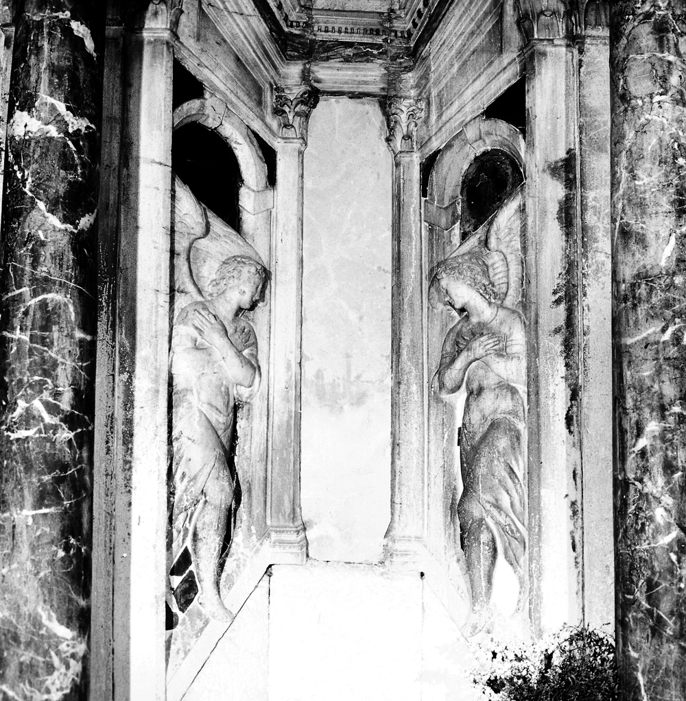 angeli adoranti (rilievo, elemento d'insieme) di Del Moro Giulio (prima metà sec. XVI)