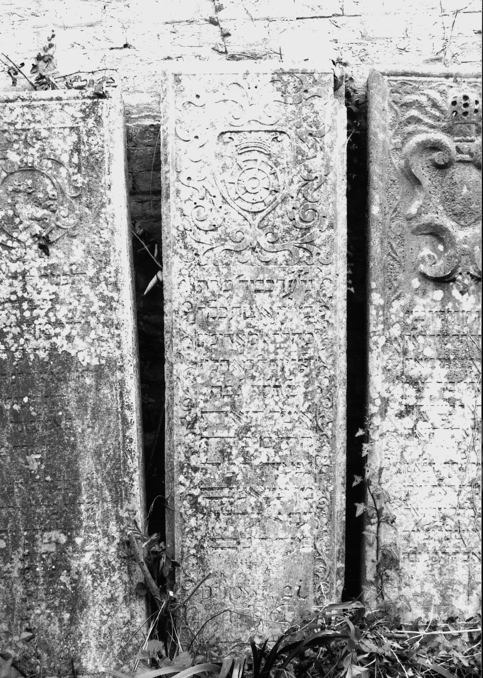 coperchio di sarcofago - ambito veneto (sec. XVIII)