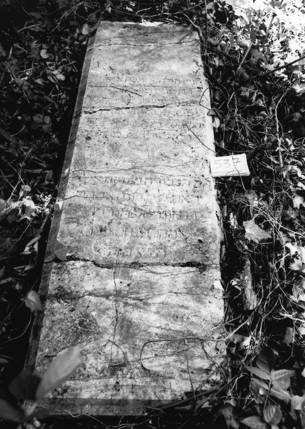 coperchio di sarcofago - ambito veneto (sec. XVII)