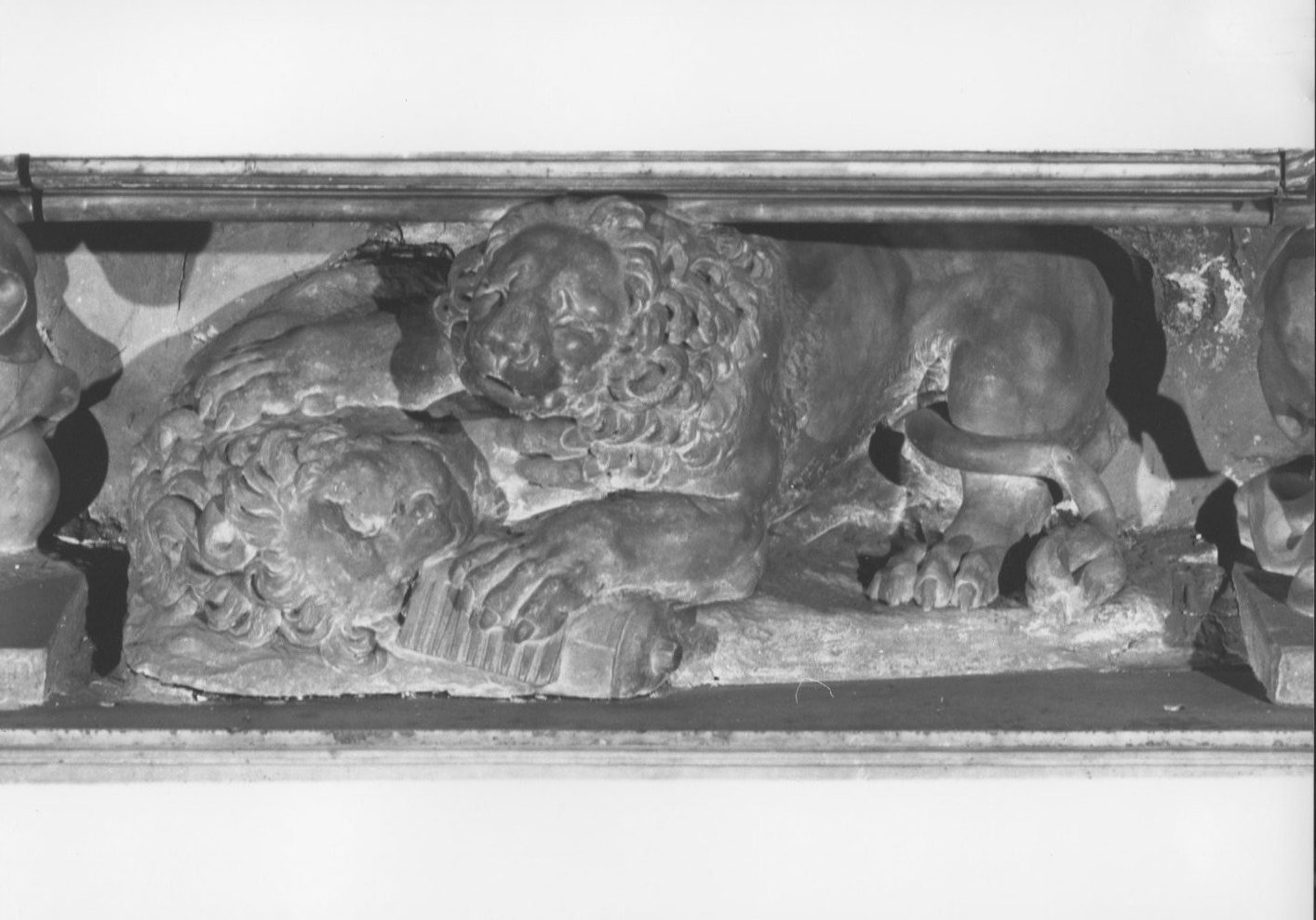 leoni (scultura) - ambito veneto (terzo quarto sec. XVII)
