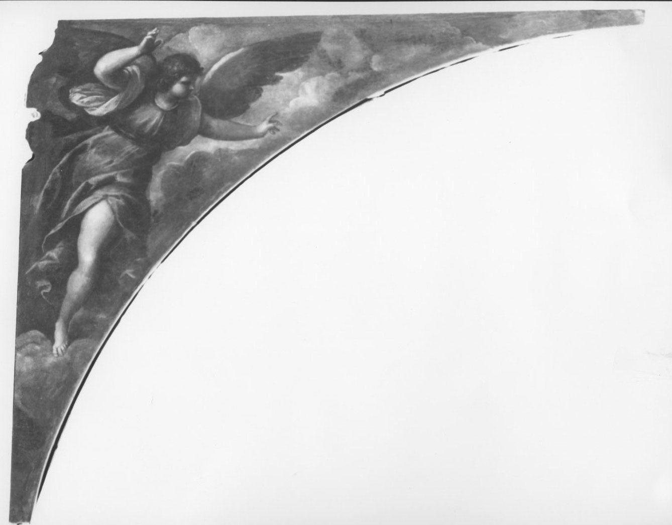 Angelo annunziante, angelo annunciante (dipinto, ciclo) di Negretti Jacopo detto Palma il Giovane (ultimo quarto sec. XVI)