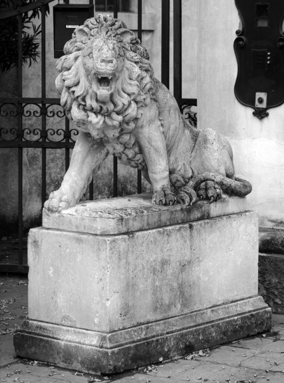 leone (statua, elemento d'insieme) - ambito veneto (sec. XIX)