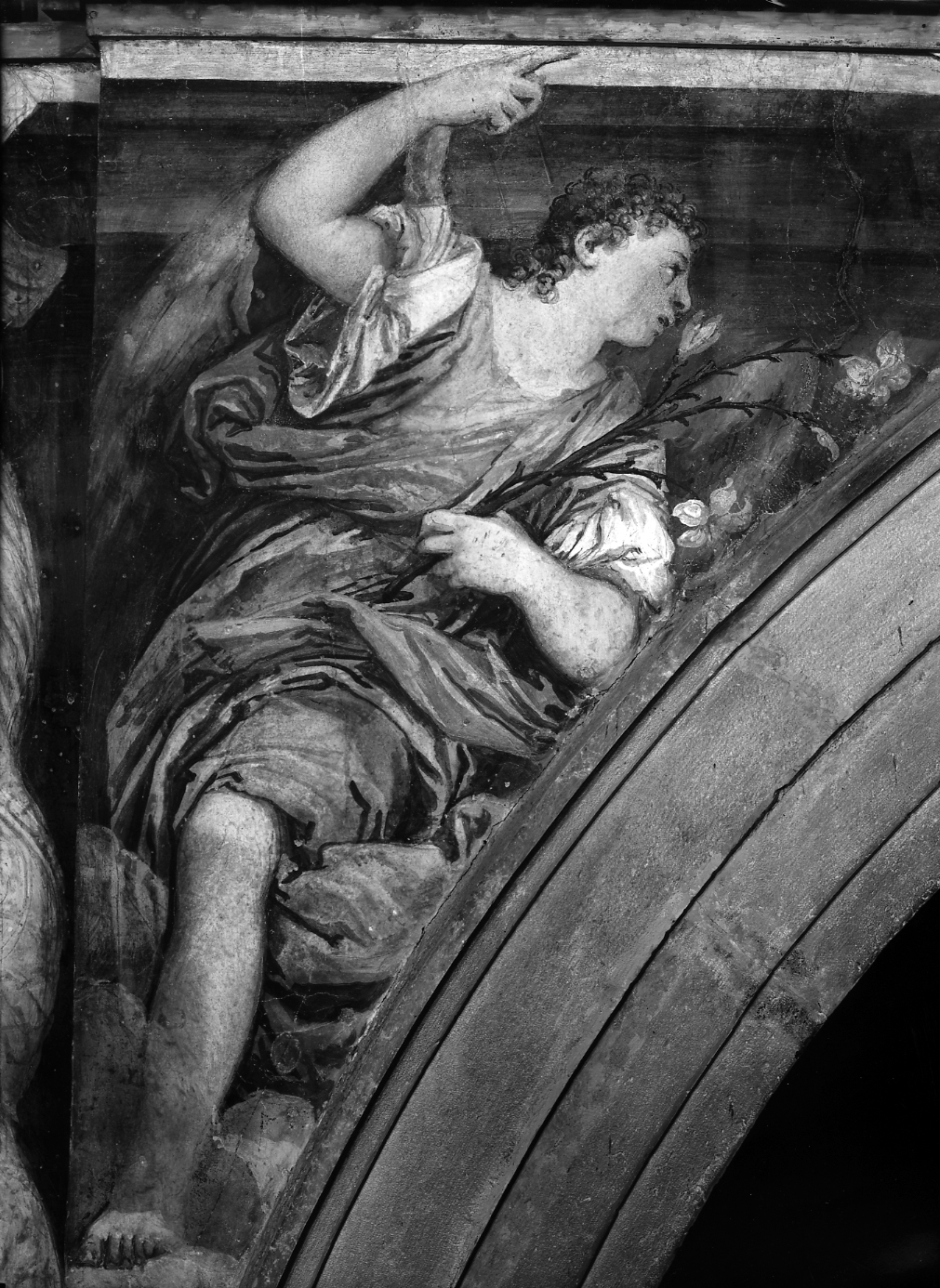 angelo annunciante (dipinto) di Caliari Paolo detto Veronese (sec. XVI)