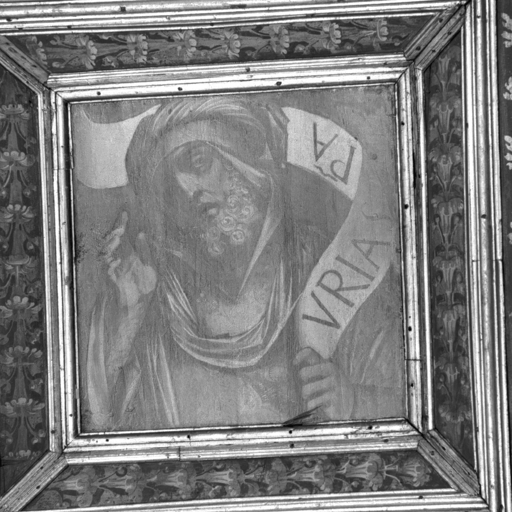 Urtia (dipinto, elemento d'insieme) di Pennacchi Pier Maria, Capriolo Domenico di Bernardino (secc. XV/ XVI)