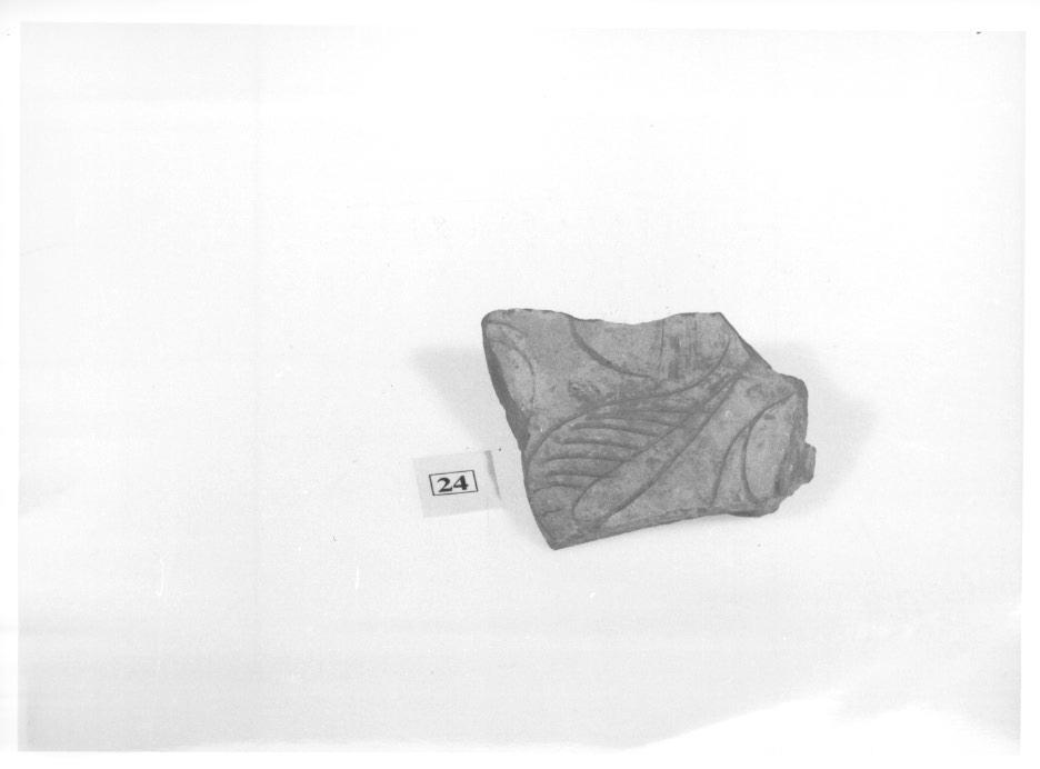 scodella, frammento - manifattura polesana (sec. XV)