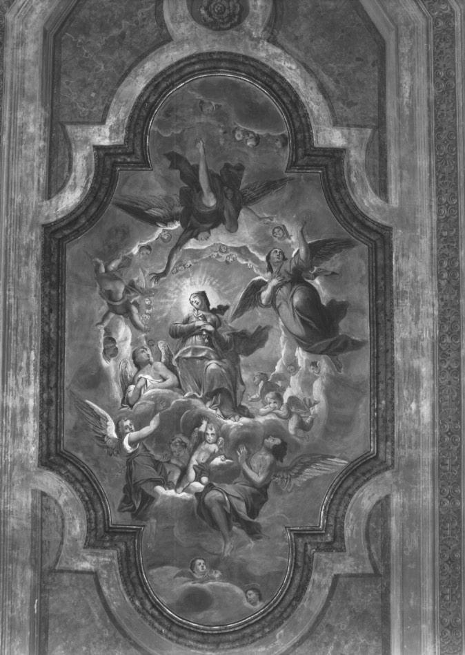 assunzione della Madonna con angeli e cherubini (dipinto, elemento d'insieme) di Urbani Andrea (sec. XVIII)