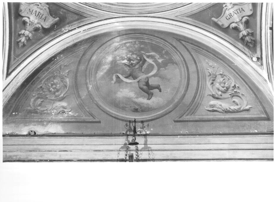 angioletto reggicartiglio/ motivi decorativi fitomorfi con delfini (dipinto) di Baldi Giovanni Battista (sec. XX)