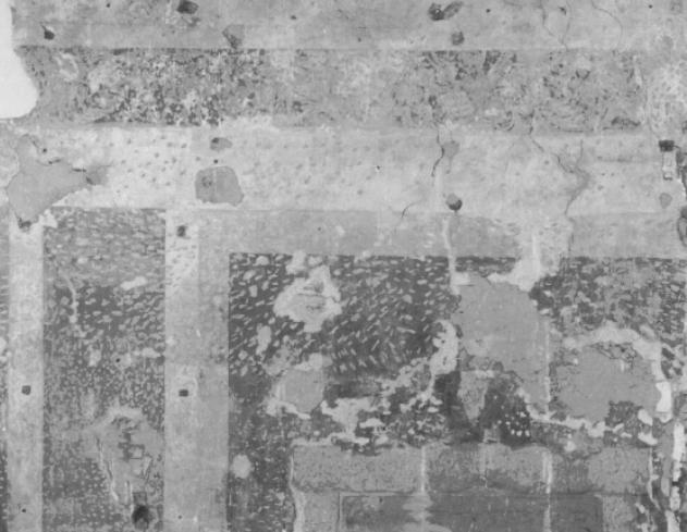 motivo decorativo (dipinto, frammento) - ambito feltrino (seconda metà sec. XVI)