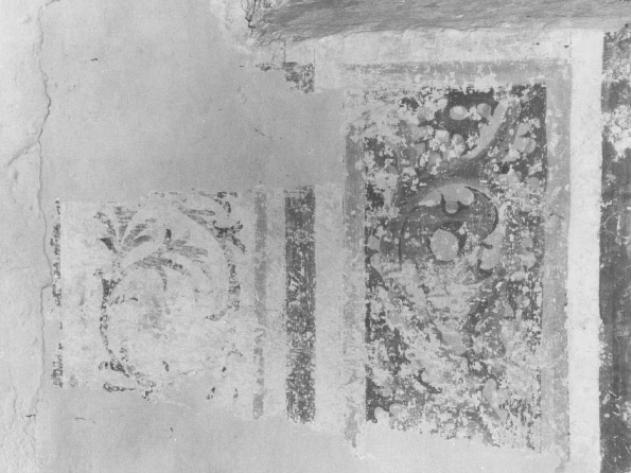 motivi decorativi vegetali a girali (dipinto) - ambito veneto (seconda metà sec. XV)