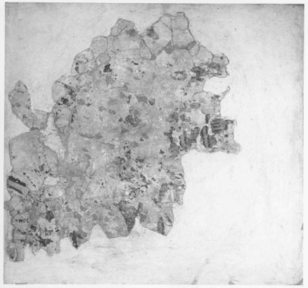 dipinto, frammento - ambito veneto (seconda metà sec. XIII)
