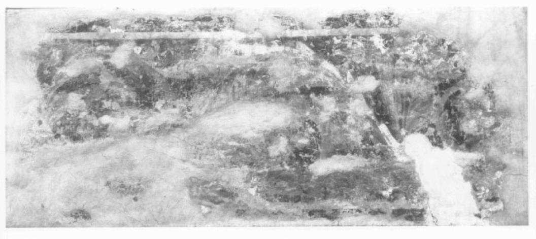 Fascia decorativa (dipinto, frammento) - ambito veneto (sec. XIV)