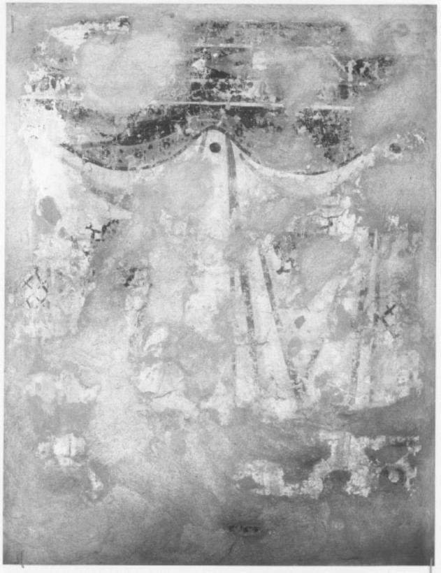 Finto tendaggio (dipinto, frammento) - ambito veneto (sec. XIV)