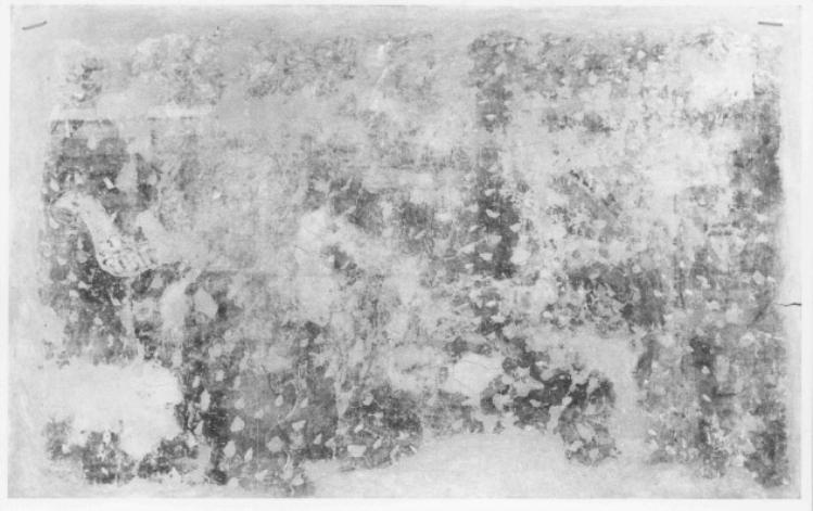 dipinto, frammento - ambito veneto (sec. XIV)