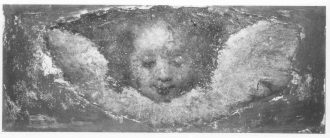 Testa di angioletto (dipinto, frammento) - ambito veneto (sec. XVI)