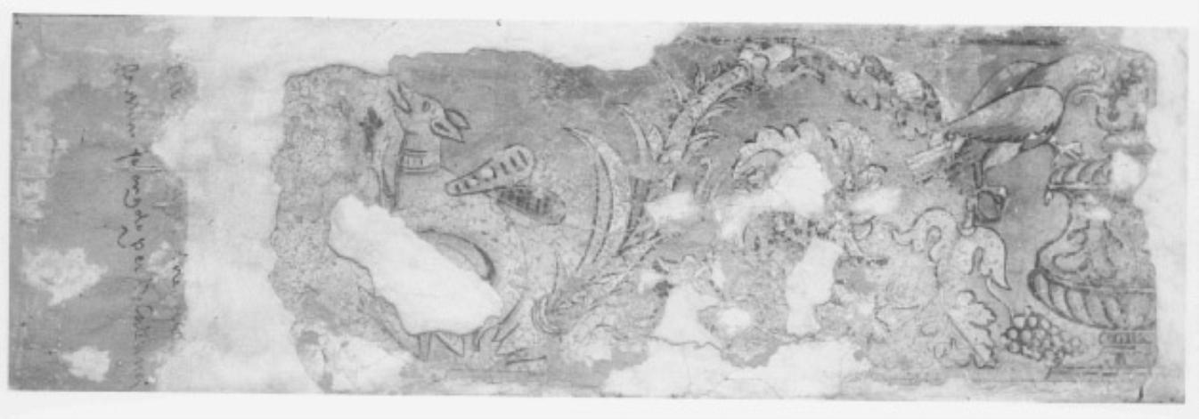 fregio decorativo (dipinto, frammento) - ambito veneto (sec. XVI)