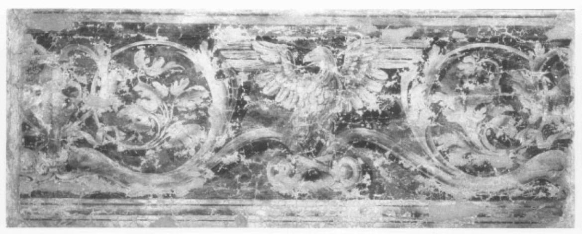 aquila tra motivi decorativi (dipinto, frammento) - ambito veneto (sec. XVI)