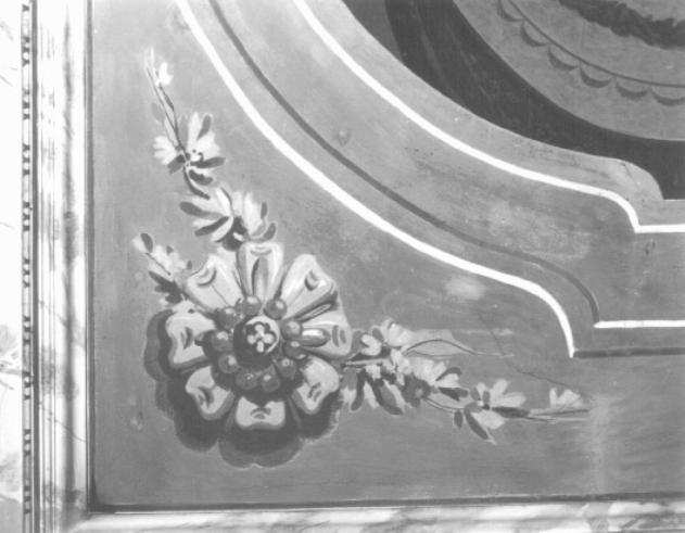 motivo decorativo floreale (dipinto) di Lasinio Basilio - ambito trevigiano (sec. XVIII)