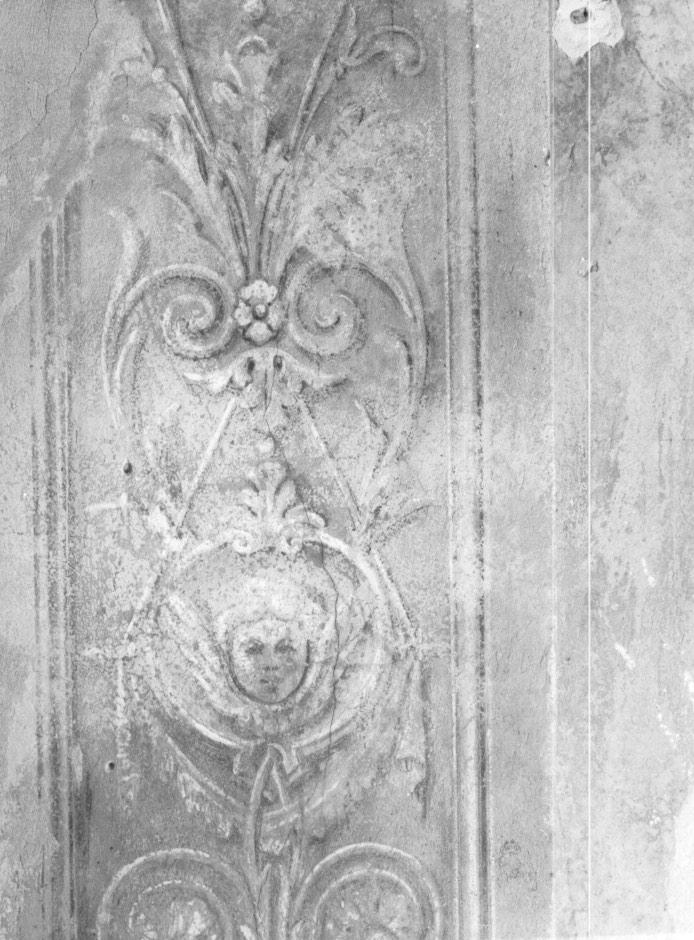 motivi decorativi a candelabra con cherubini (dipinto) - ambito trevigiano (sec. XIX)