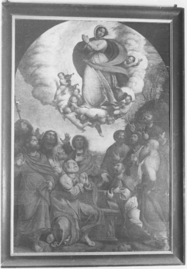 Assunzione (dipinto) di Capriolo Domenico (sec. XVI)