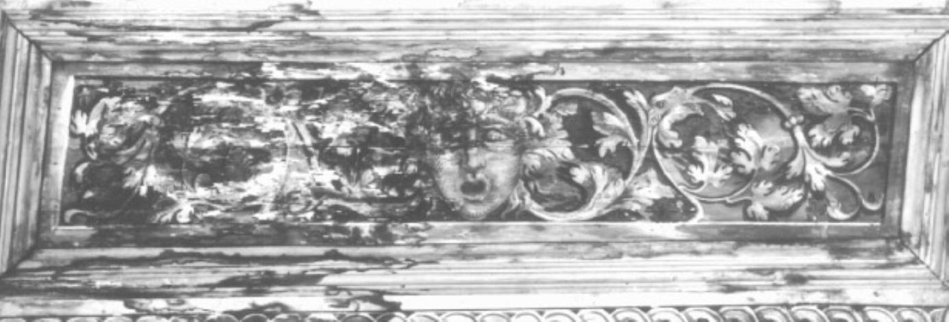 motivo a grottesca (cassettone) di Campagnola Domenico (scuola) (sec. XVI)