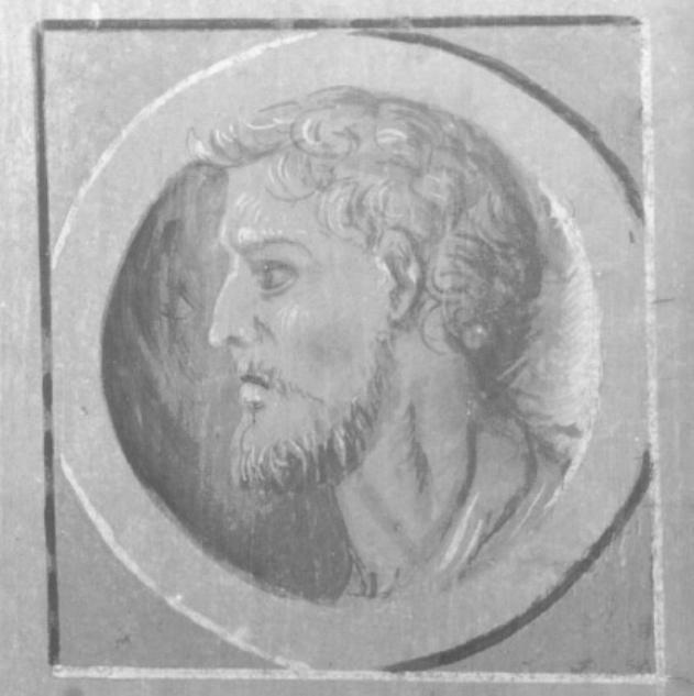 cassettone di Campagnola Domenico (maniera) (sec. XVI)