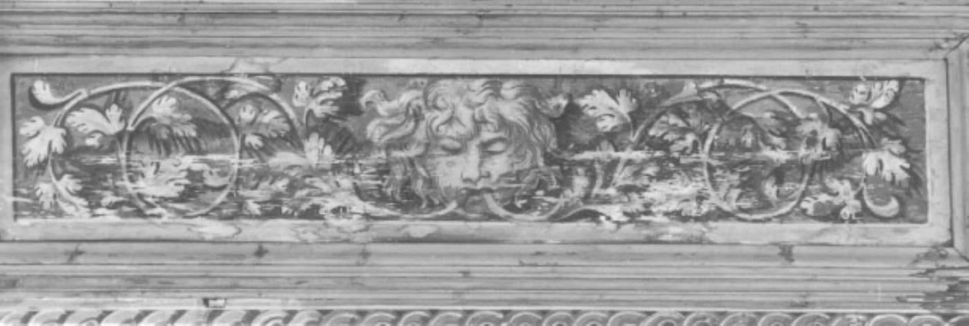 motivi a grottesca (cassettone) di Campagnola Domenico (scuola) (sec. XVI)