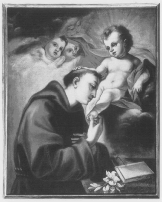 Sant'Antonio da Padova con Gesù Bambino (dipinto) di Bellucci Antonio (cerchia) (fine/inizio secc. XVII/ XVIII)