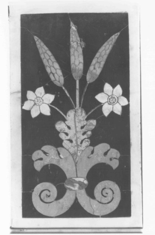 motivi decorativi vegetali (decorazione, serie) di Corbarelli Francesco (attribuito) - ambito padovano (seconda metà sec. XVII)