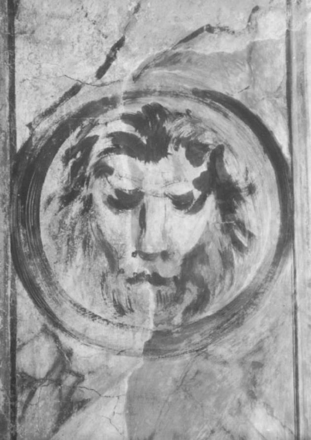 testa di leone (dipinto) di Tessari Girolamo detto Girolamo Dal Santo (sec. XVI)