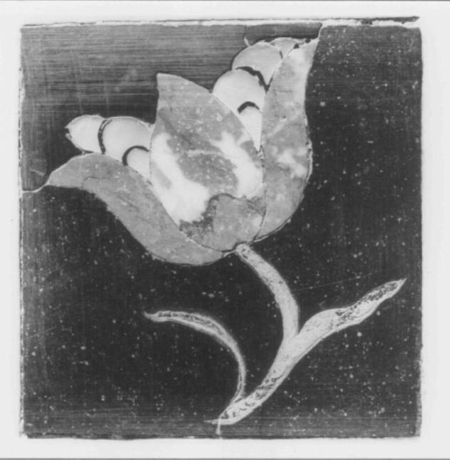 fiore (decorazione a intarsio) di Fasolato Agostino (sec. XVIII)