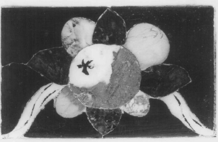 natura morta con frutta (decorazione a intarsio) di Fasolato Agostino (sec. XVIII)