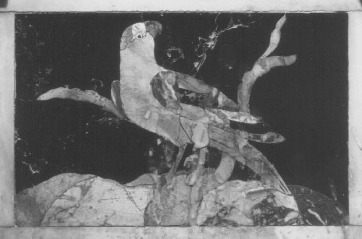 pappagallo (decorazione a intarsio) di Fasolato Agostino (sec. XVIII)