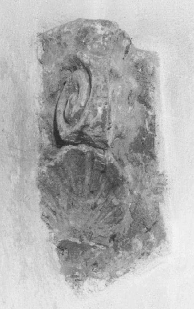 capitello, frammento di Di Cola Francesco (attribuito) - ambito padovano (sec. XVI)