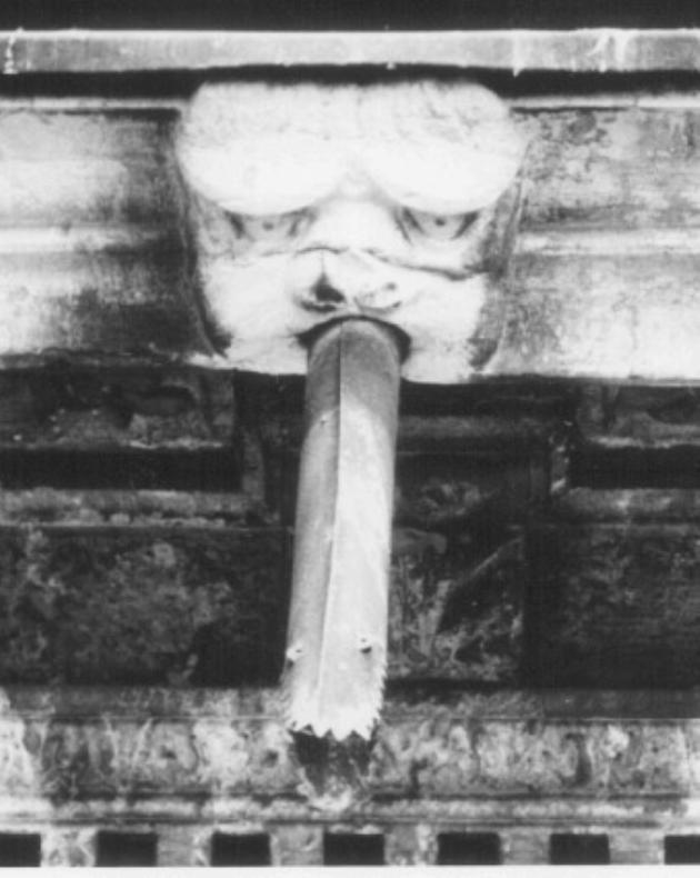 testa di animale fantastico (rilievo) di Moroni Andrea, Milanin Francesco (sec. XVI)