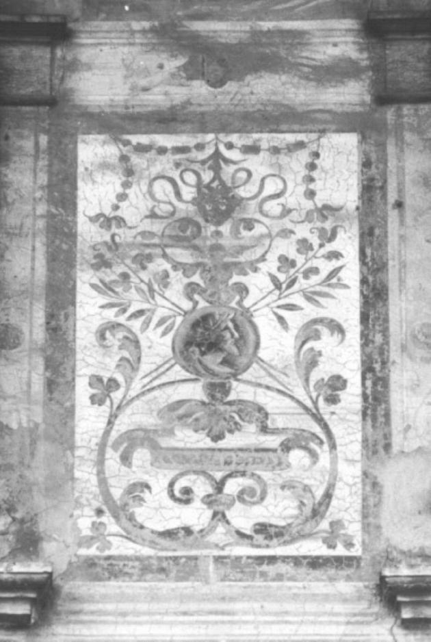 motivi decorativi a grottesche (dipinto) di Luzzo Lorenzo Detto Morto Da Feltre (prima metà sec. XVI)