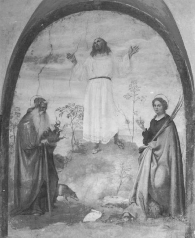 Cristo orante fra Sant'Antonio Abate e Santa Lucia (dipinto) di Luzzo Lorenzo Detto Morto Da Feltre (sec. XVI)