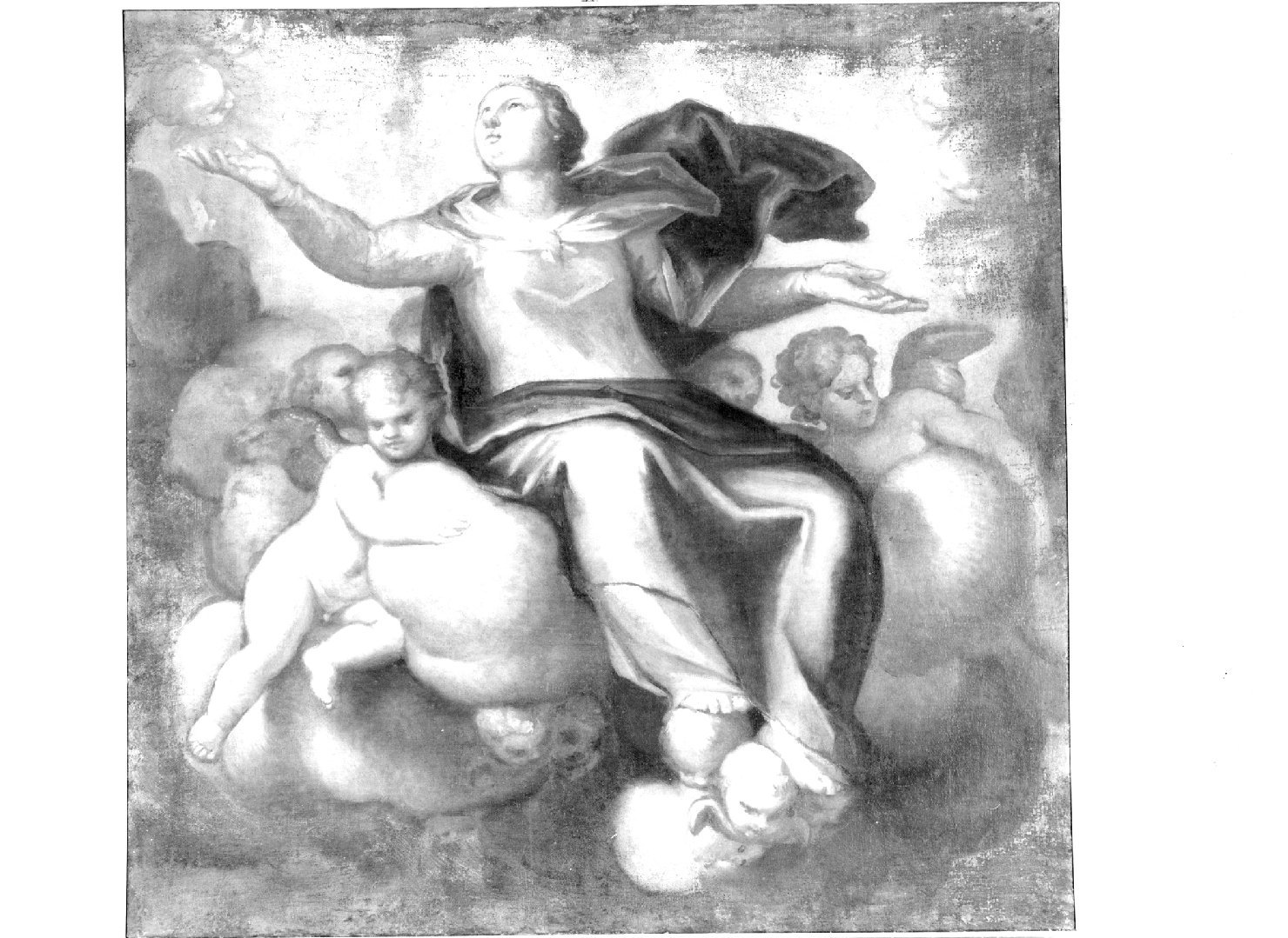 assunzione della Madonna (dipinto) di Pellegrini Girolamo (sec. XVII)