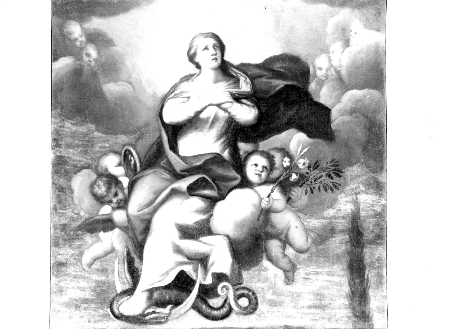 Madonna Immacolata (dipinto) di Pellegrini Girolamo (sec. XVII)